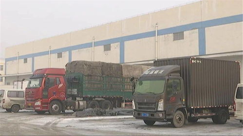 春節(jié)期間市場(chǎng)供應(yīng)保障 食用農(nóng)產(chǎn)品批發(fā)平穩(wěn)運(yùn)行